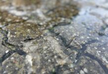 Blæst og regn sætter gang i første søndag i advent